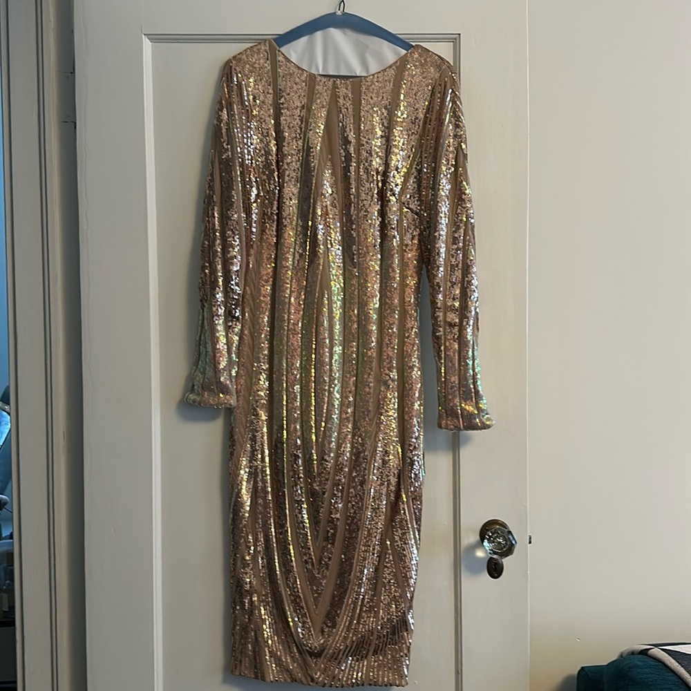 Dress the Population Emery sequin bodycon dress